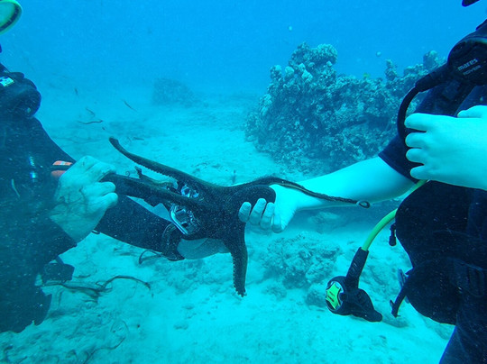 Makai Expeditions-考普雷必去景点