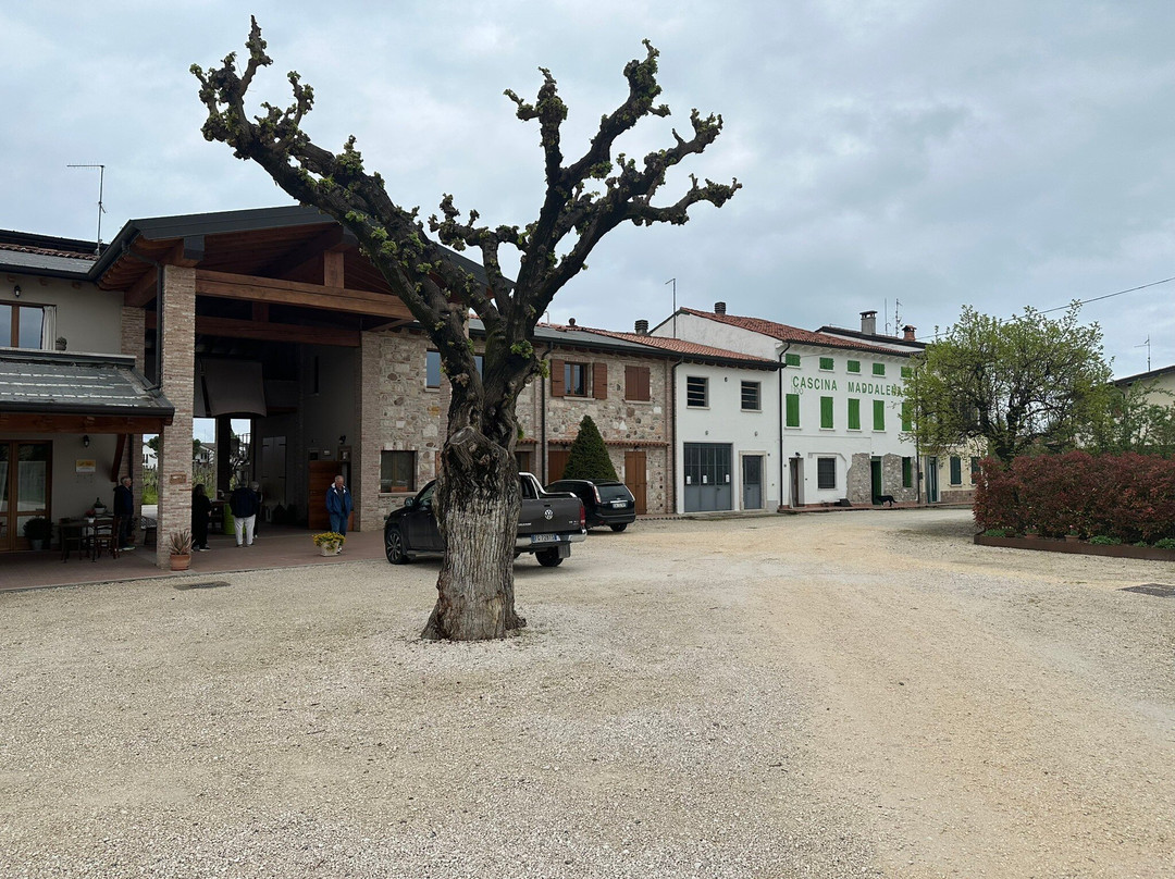 Cascina Maddalena景点图片