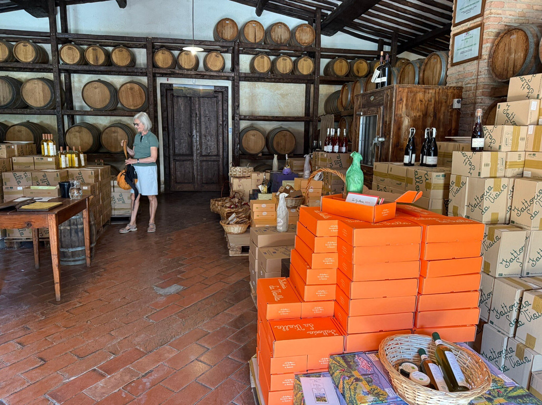 Fattoria La Vialla景点图片