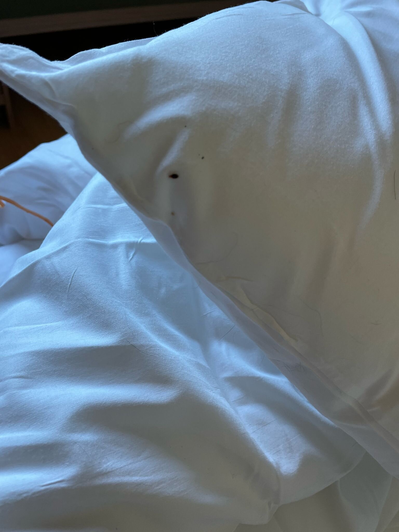 Mercure Han Sur Lesse-客卧