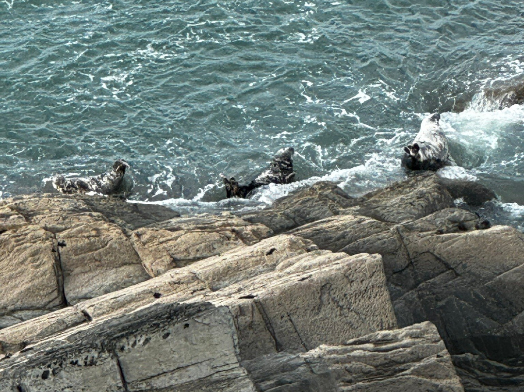 Walk - Morte Point Trail-Mortehoe必去景点
