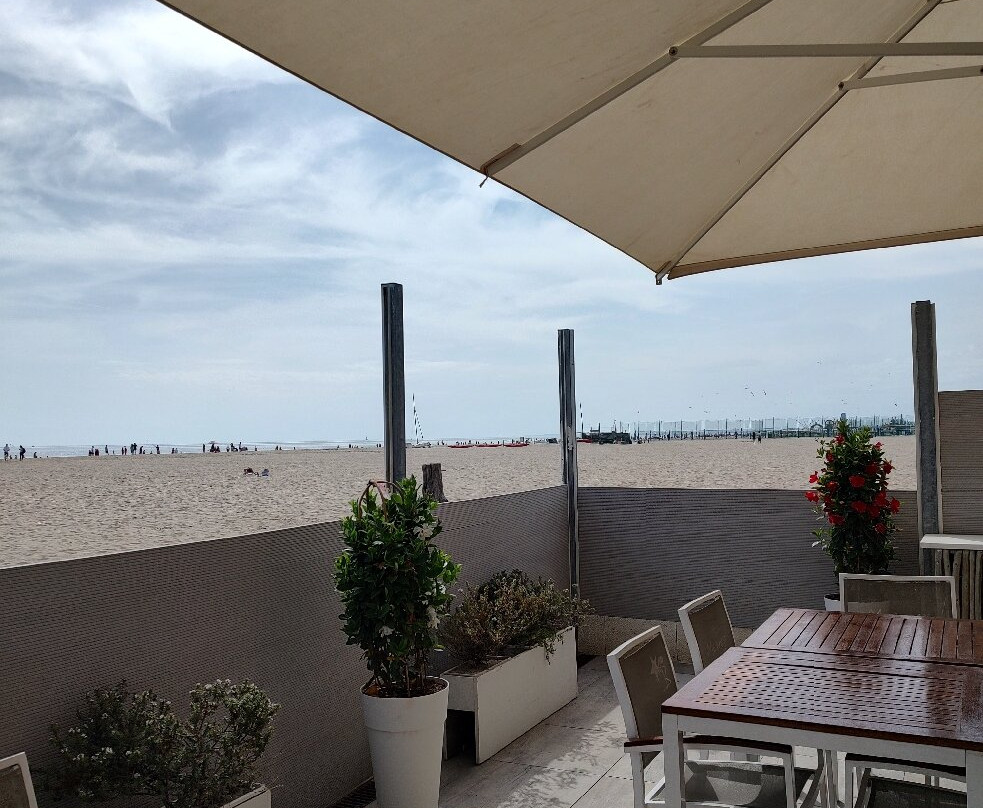 Medusa Beach 146景点图片