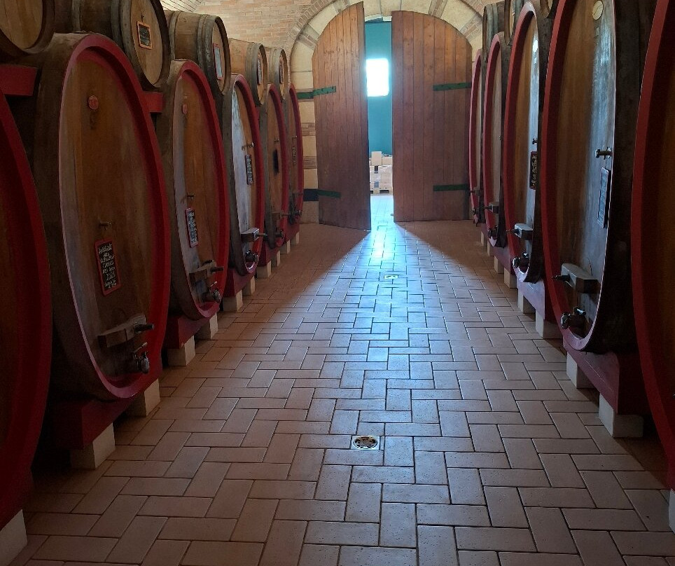 Le Bignele Winery景点图片