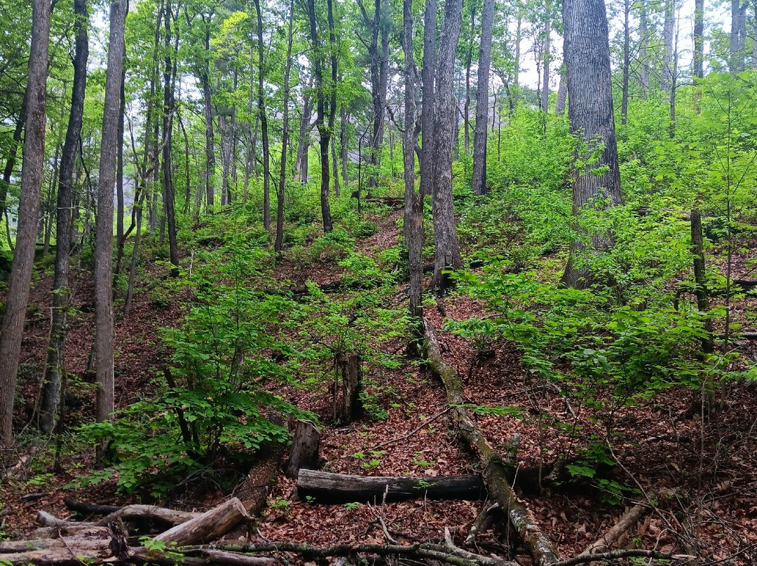 Stone Mountain State Park景点图片