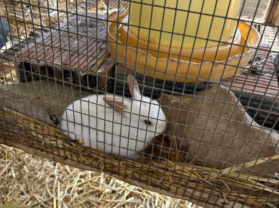 Riverland Bio Farm-尼科西亚必去景点