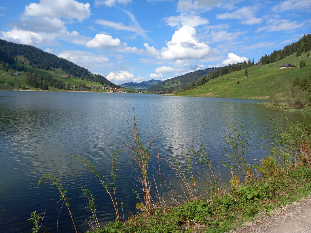 Schwarzsee Lac Noir-施瓦茨塞湖必去景点
