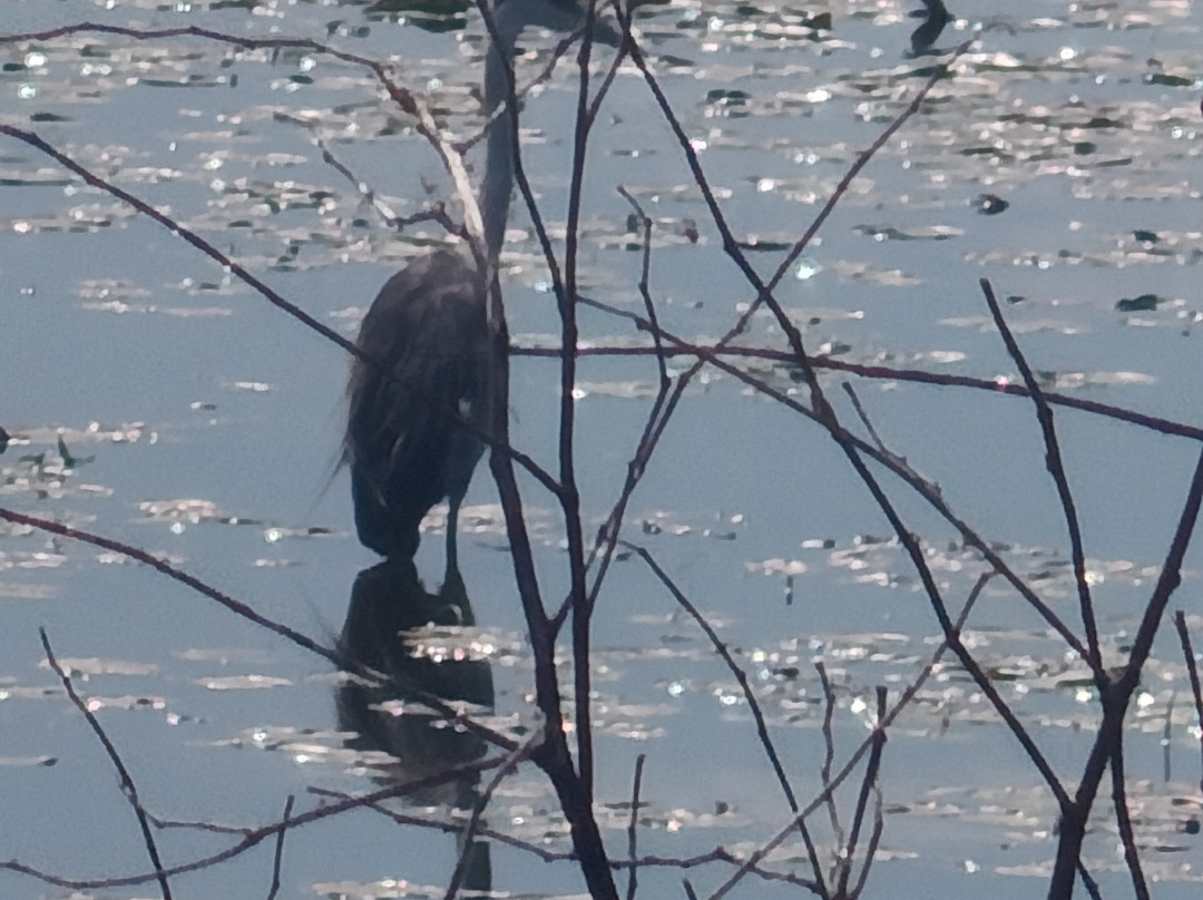 Posada Huella Ibera主图