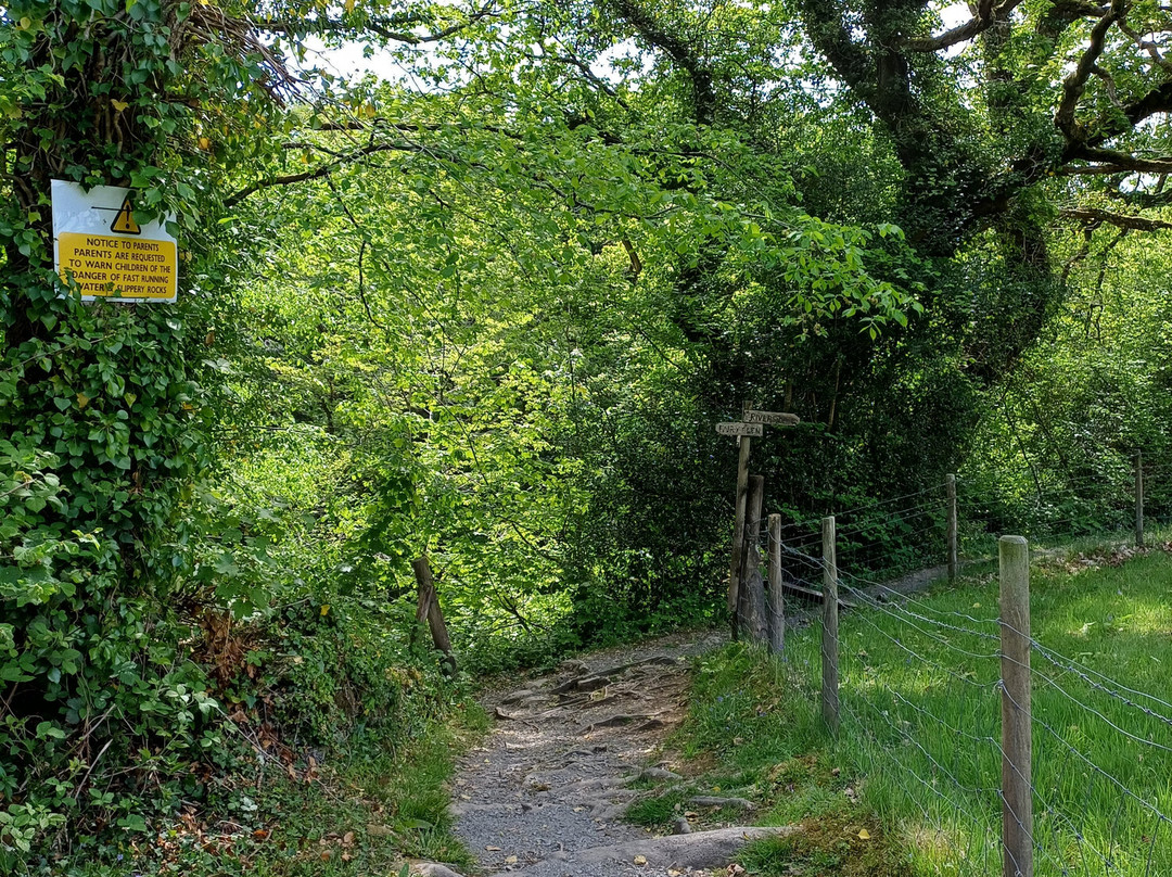 Fairy Glen-Betws-y-Coed必去景点