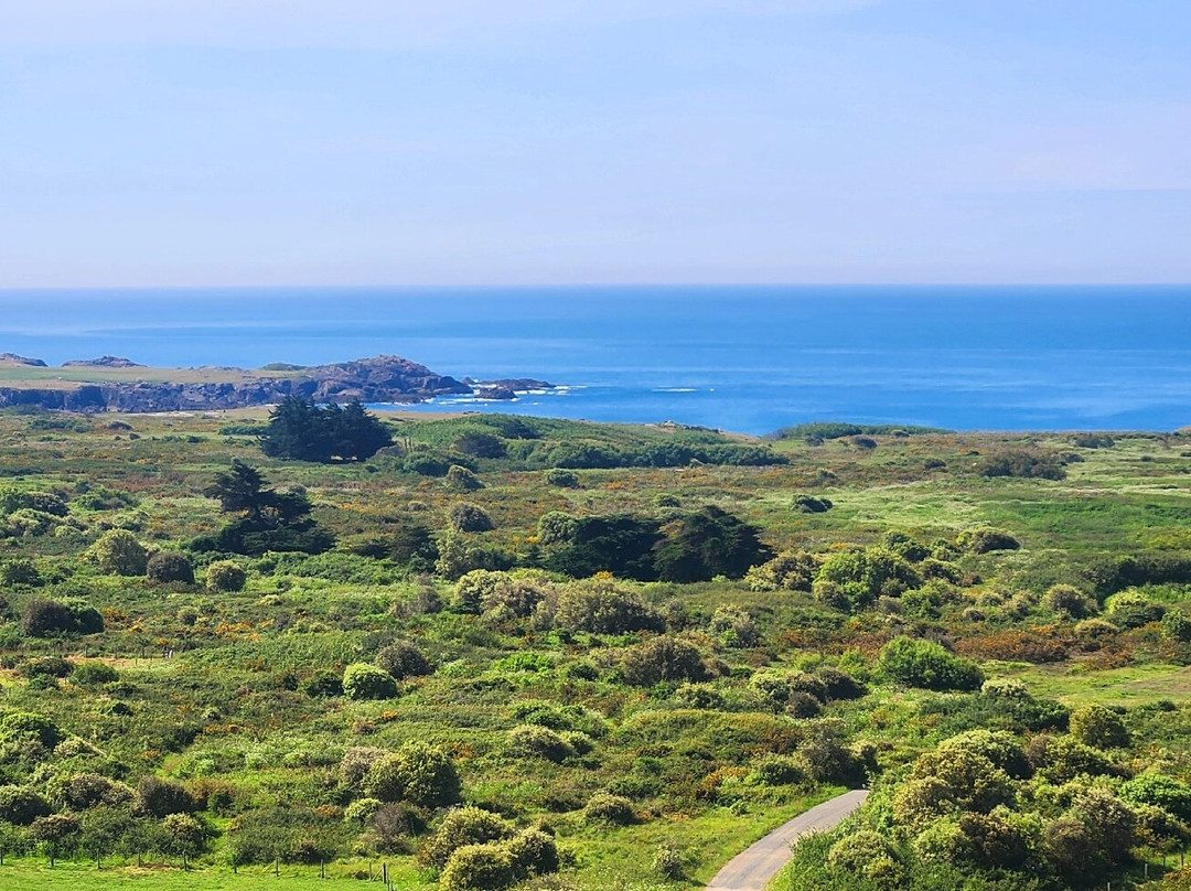 Le Grand Phare-Ile d'Yeu必去景点