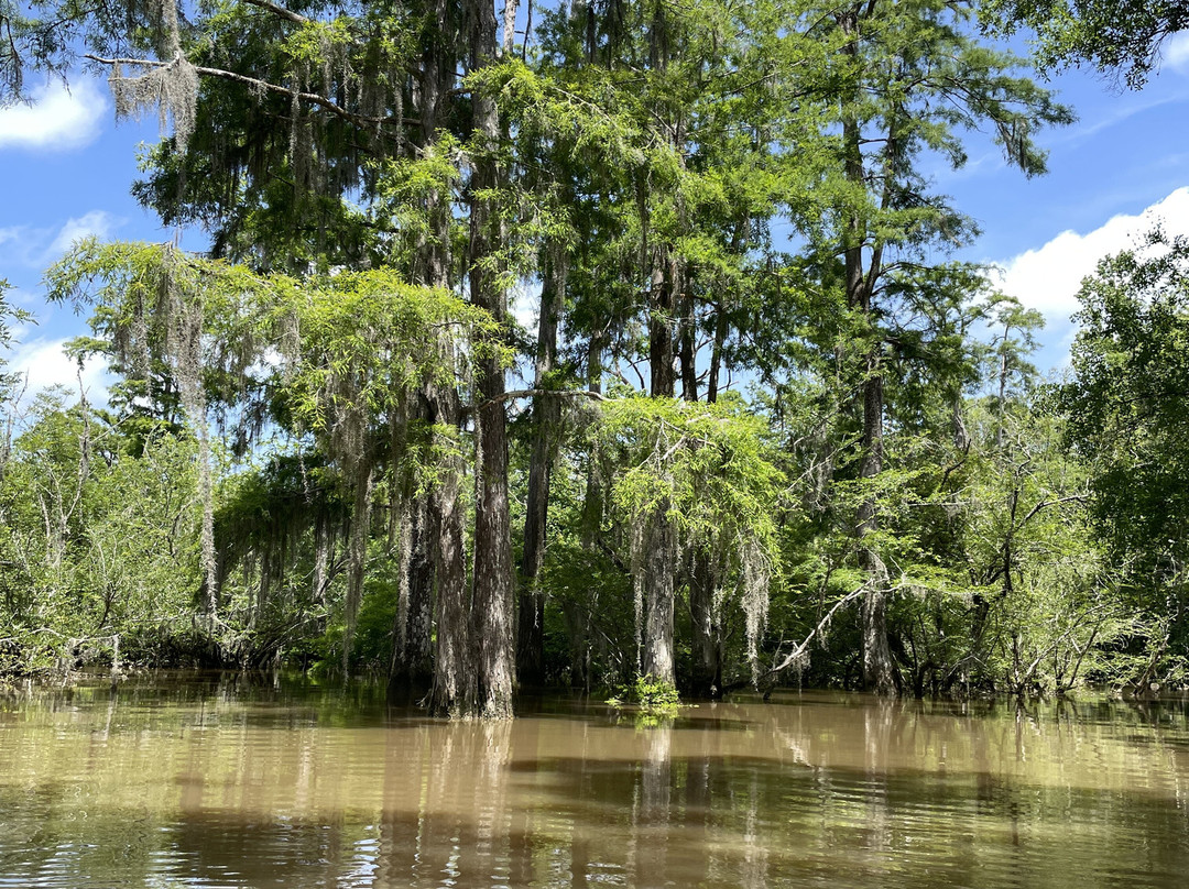 Honey Island Kayak Tours-Pearl River必去景点