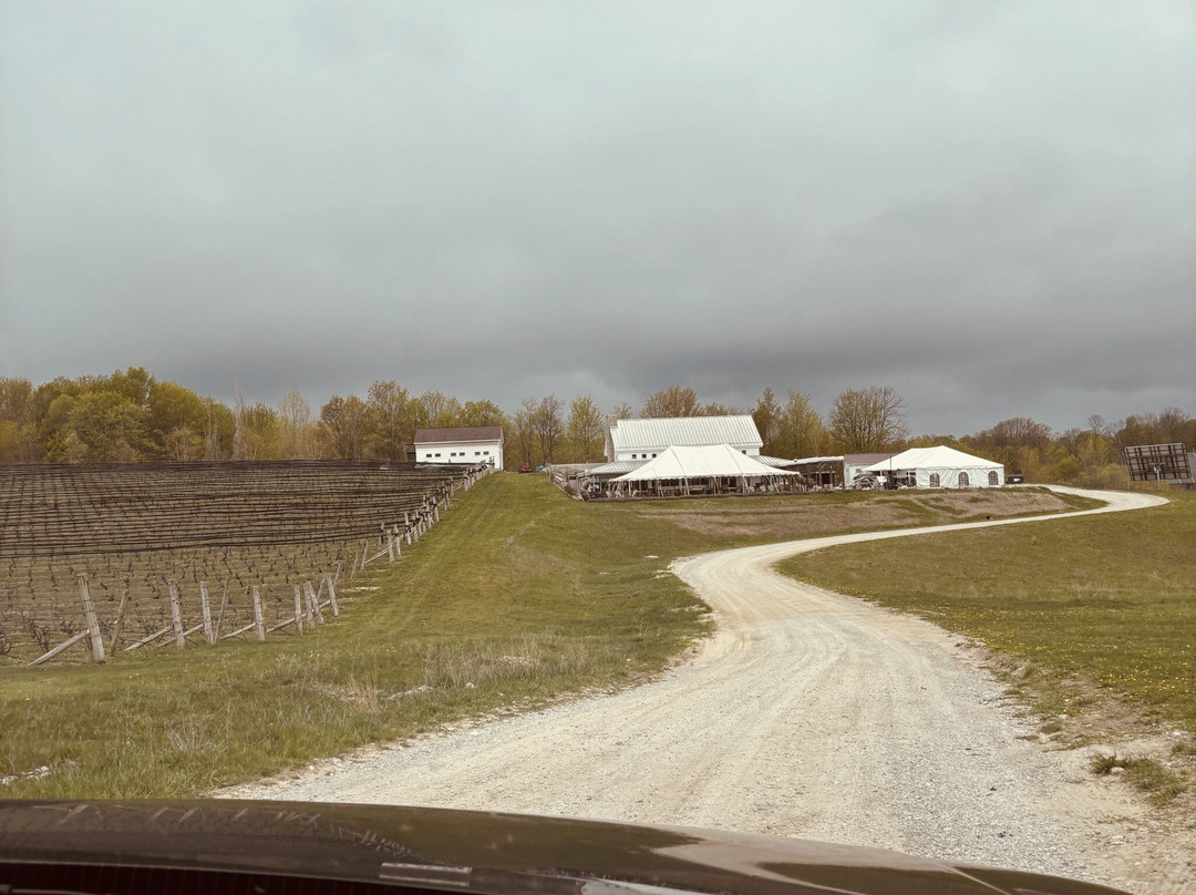 Comfort Inn Traverse City主图