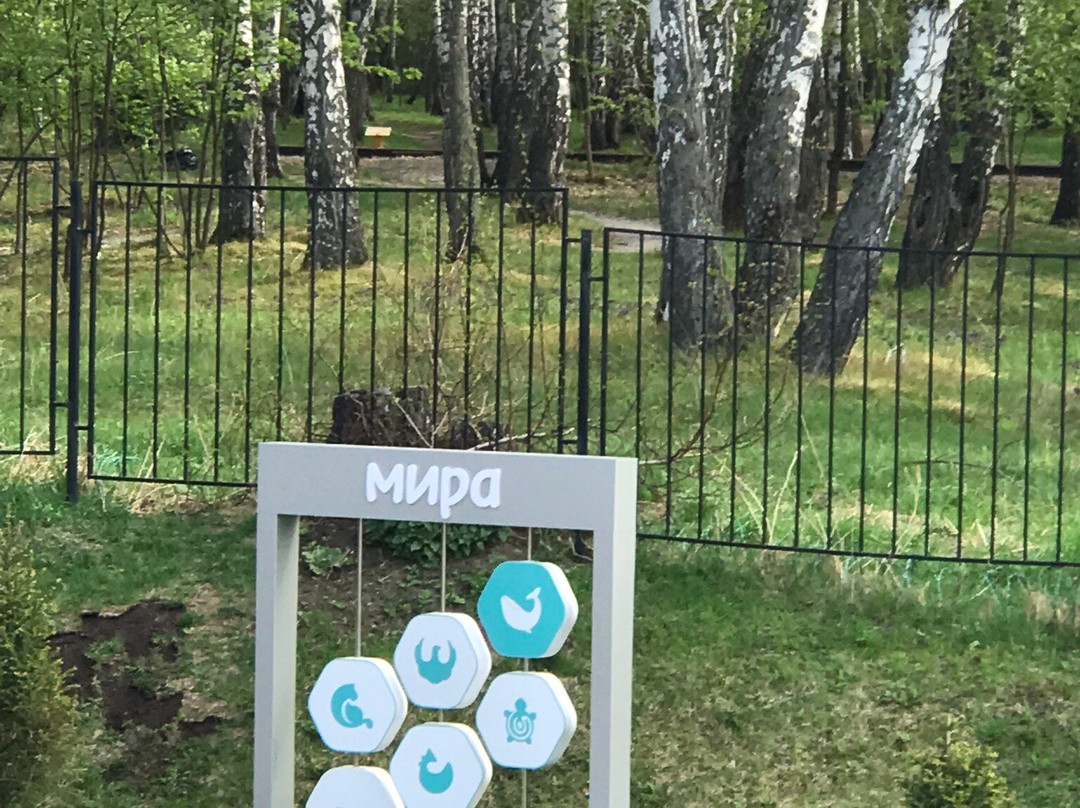 Mira Termy. Sosnovy bor-新西伯利亚必去景点