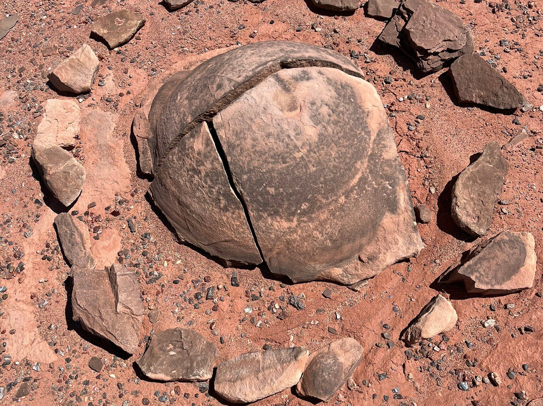 Dinosaur Tracks-蒂巴城必去景点