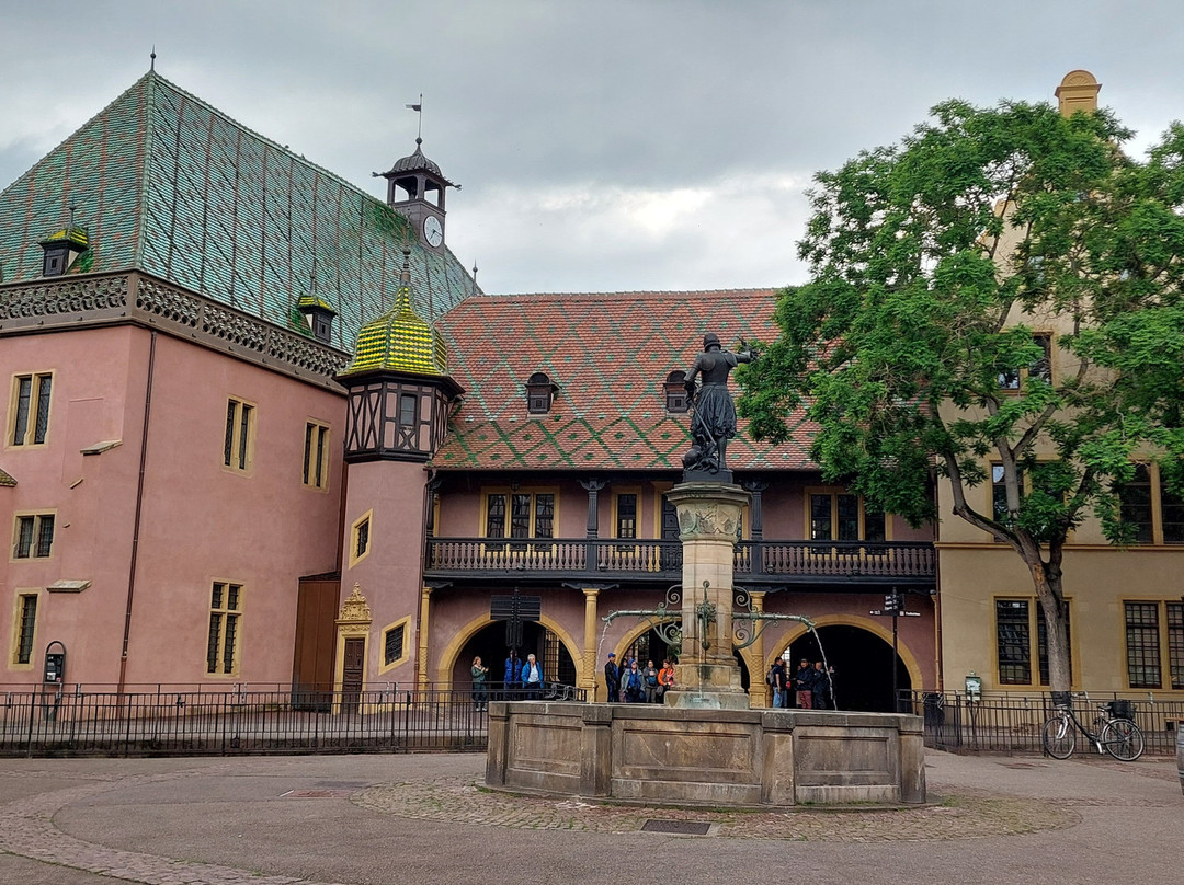 Koifhus (Old Custom House)-科尔马必去景点