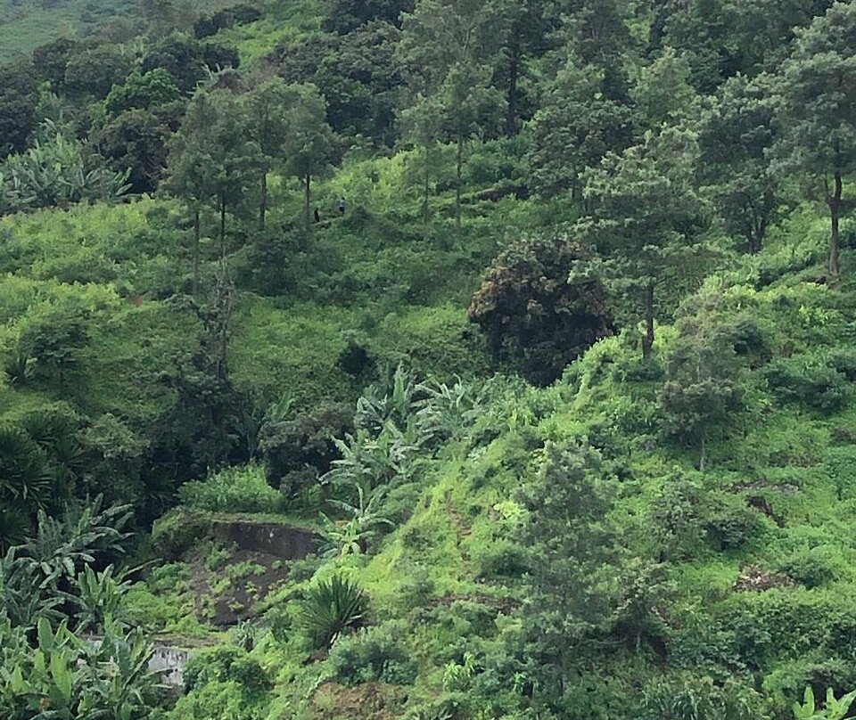 Edmar alves fogo-Sao Filipe必去景点