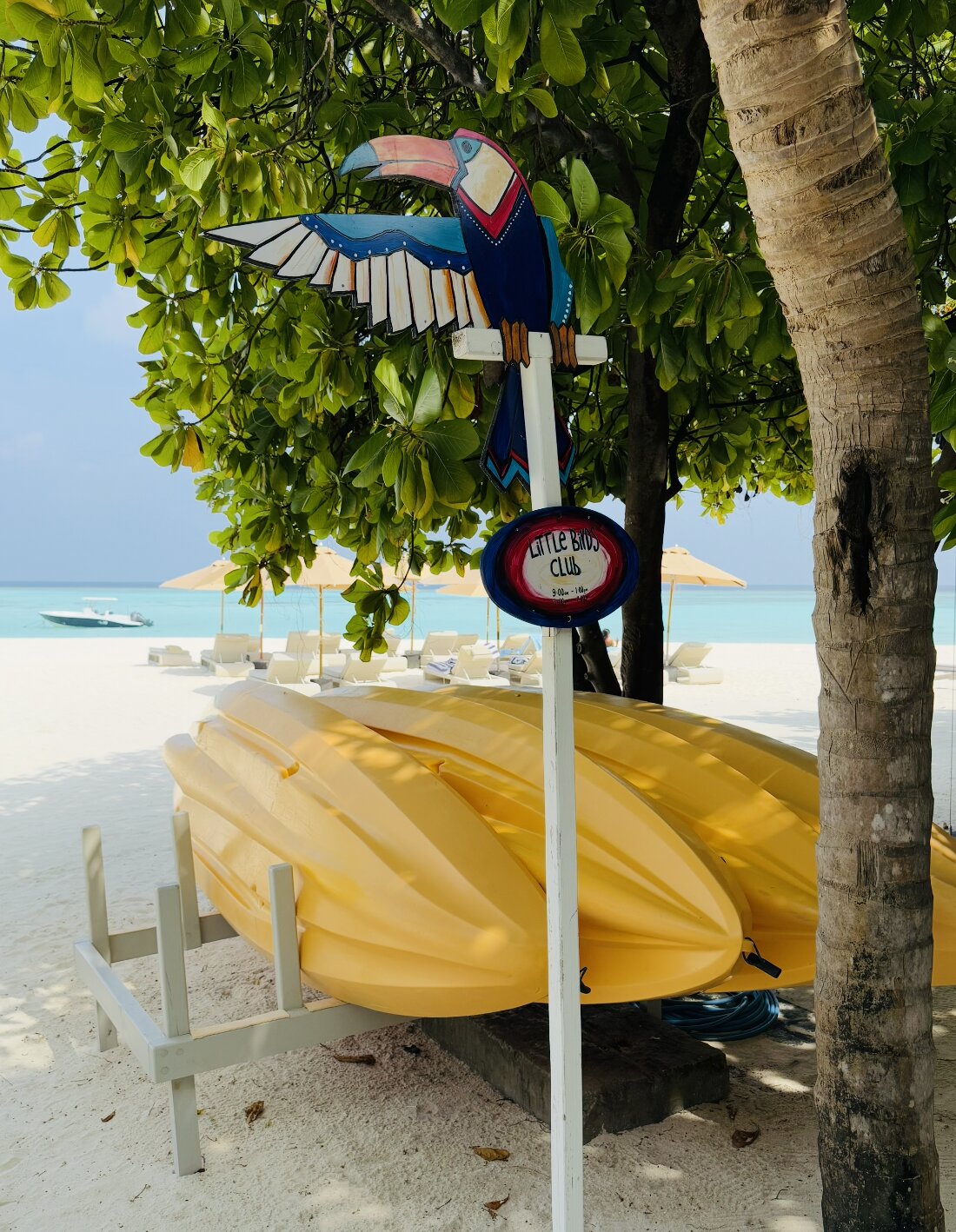 Kuredhivaru Resort & Spa Maldives-泳池