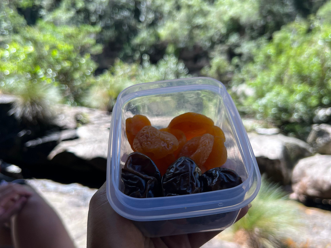 Tour Chapada-Ibicoara必去景点