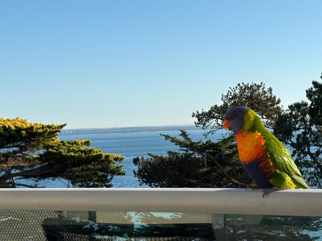 韦弗斯公寓主图