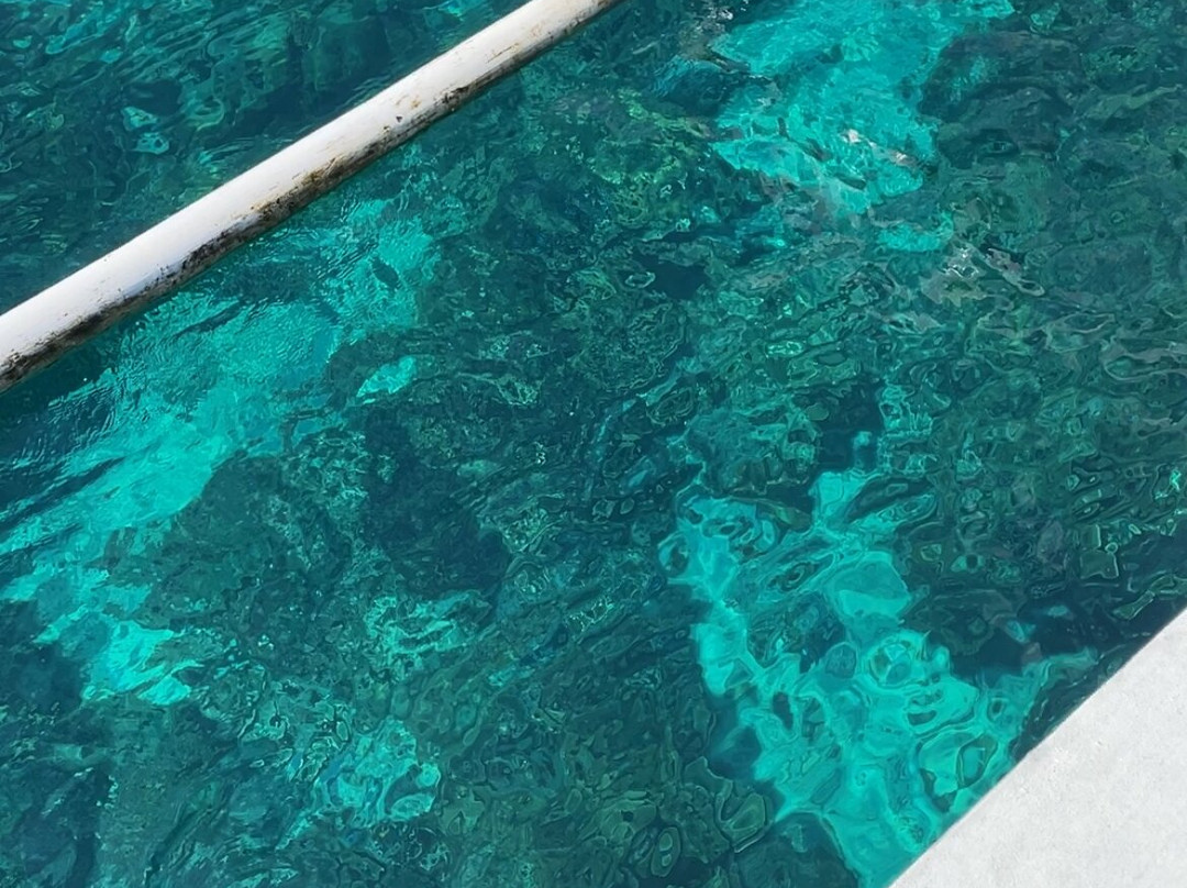 Gili Scuba Diving景点图片