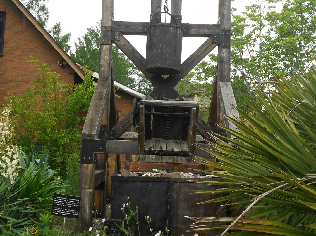 Bob Campbell Geology Museum-克莱姆森必去景点