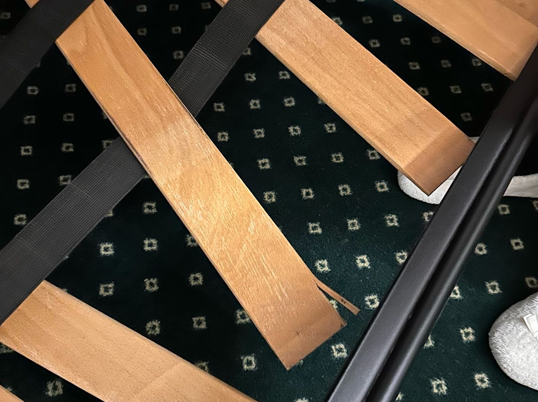 La Rondinaia in Eurocongressi Hotel主图