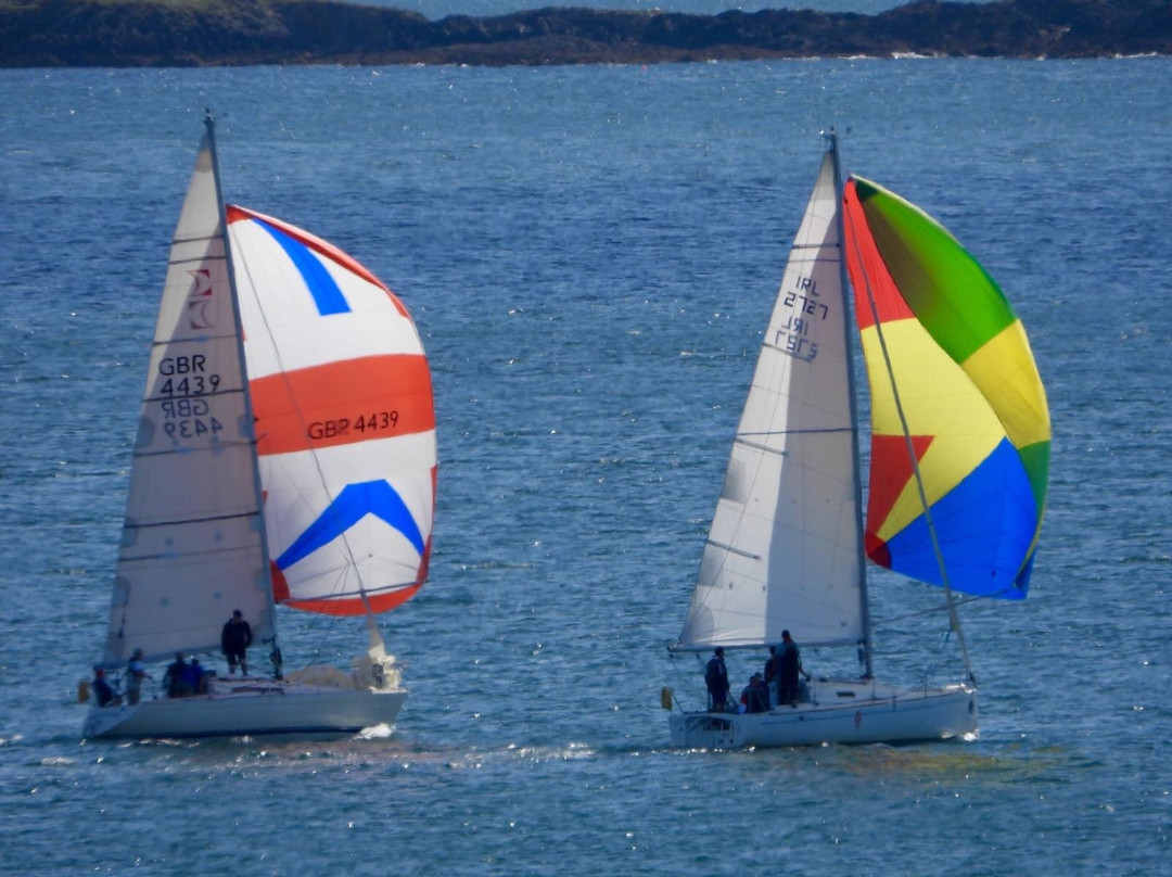 Schull Harbour Hotel主图