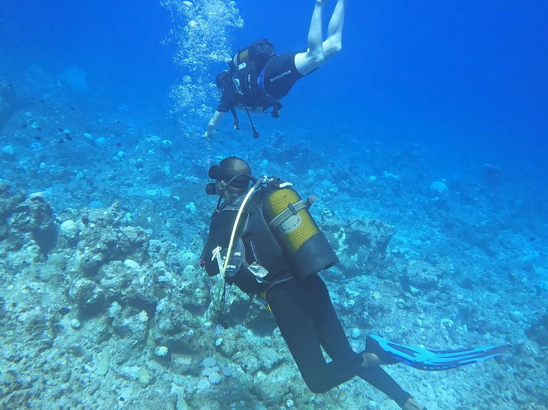 Emperator Diving Center-大湾必去景点
