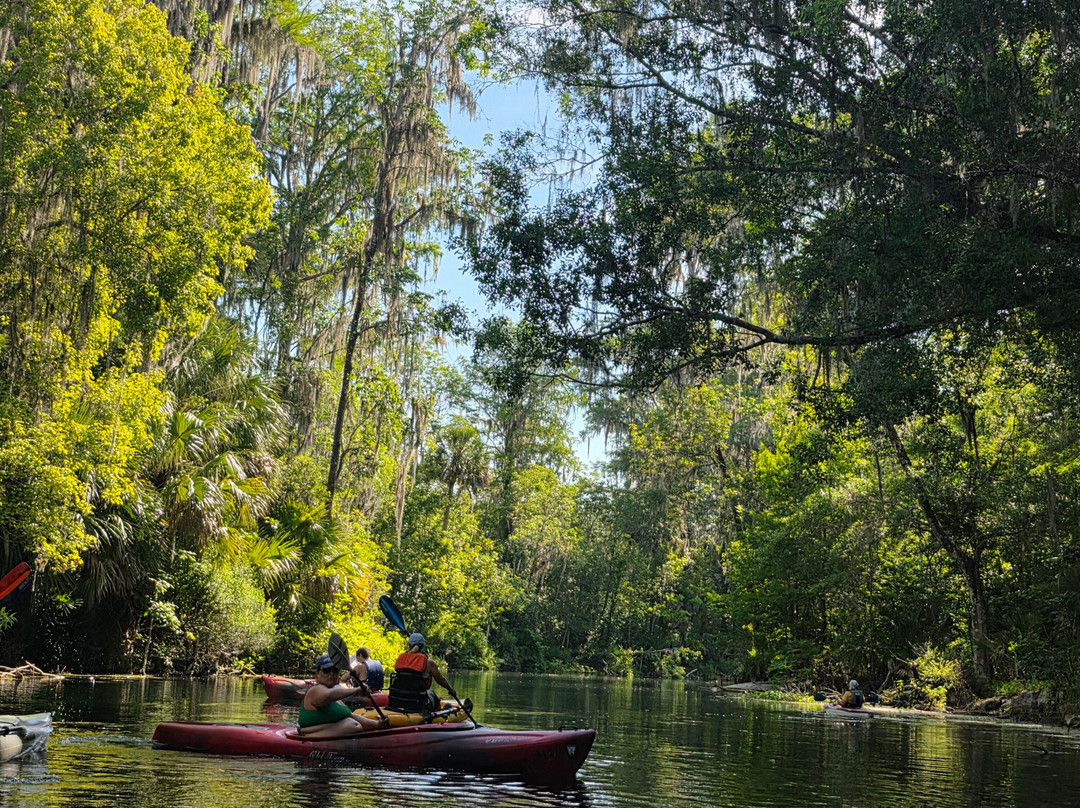 Kayaking Silver Springs-Silver Springs必去景点