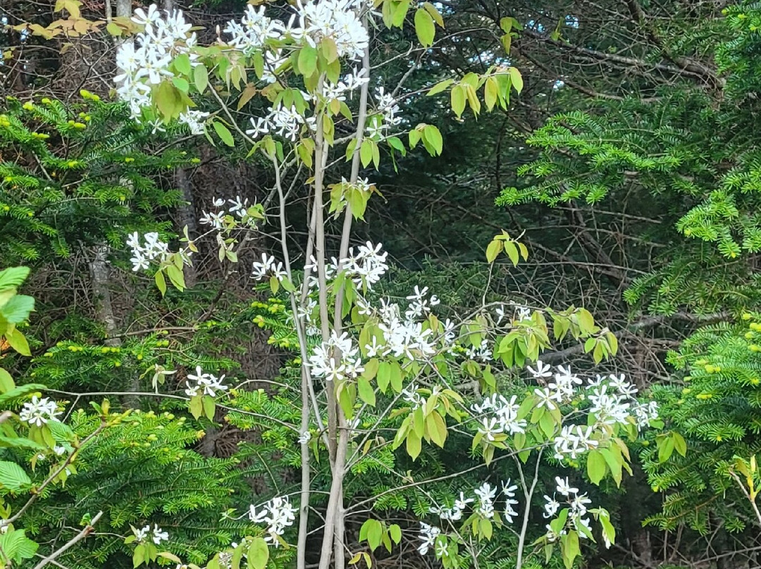 Debert Hospitality Centre主图