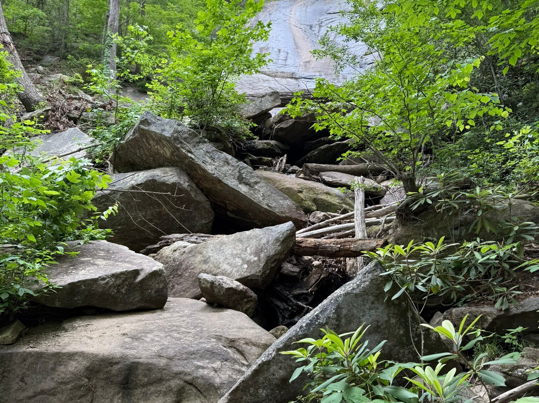 Wildcat Wayside Mountain Bridge Wilderness Area景点图片