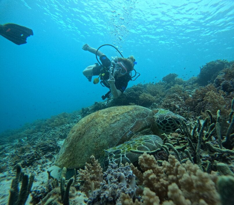 DSM Dive - Gili Trawangan景点图片