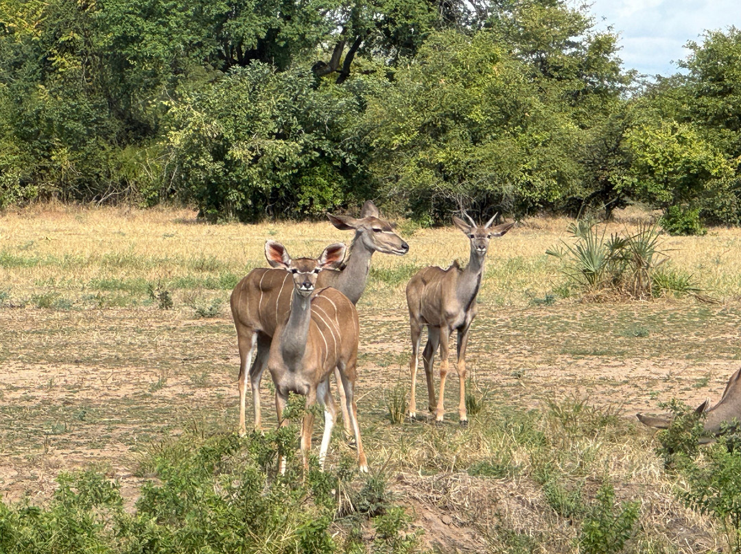 Anake Taxi And Tours Services-里朗威必去景点