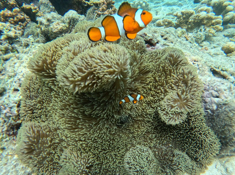 Travel Cebu-宿雾市必去景点