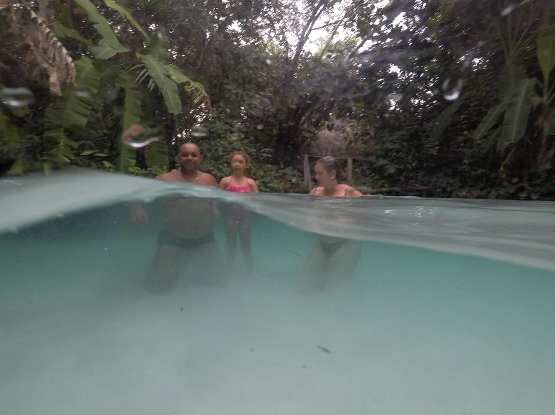 Fervedouro Do Alecrim-Sao Felix do Tocantins必去景点