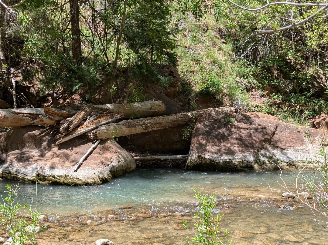 Arizona Scenic Tours - Day Tours-凤凰城必去景点