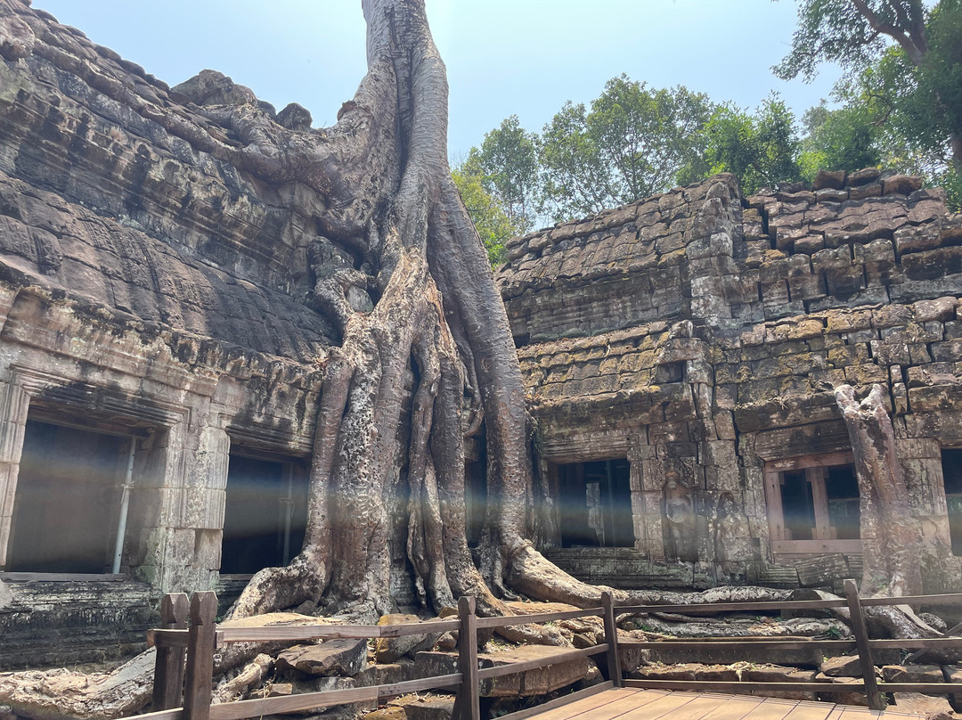 Asia Tours景点图片