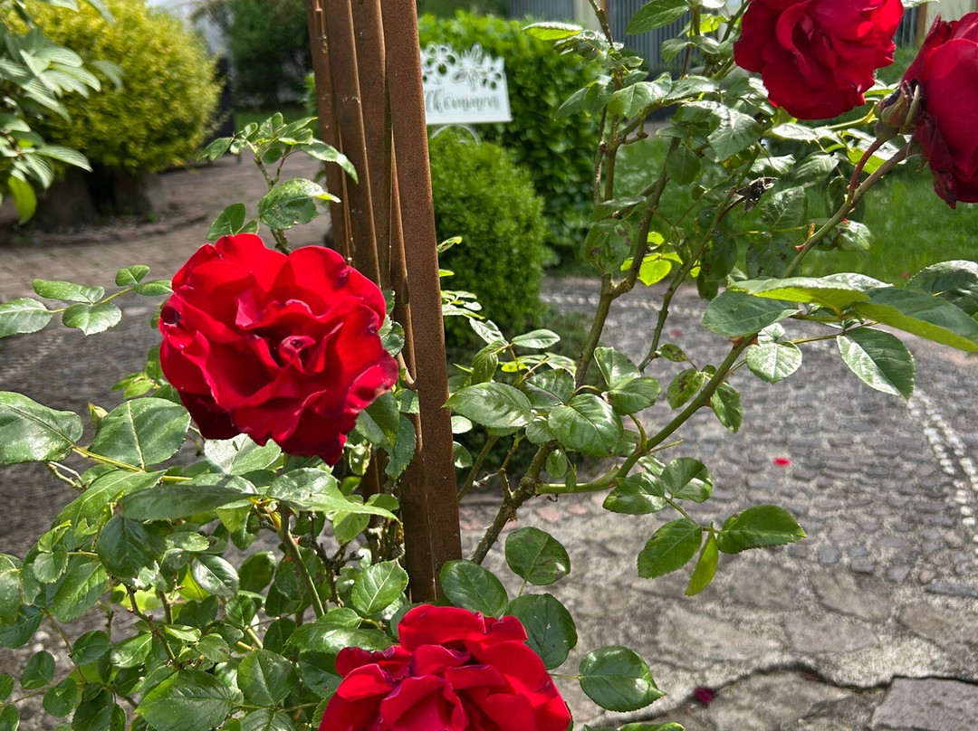 Hotel Silberkönig主图