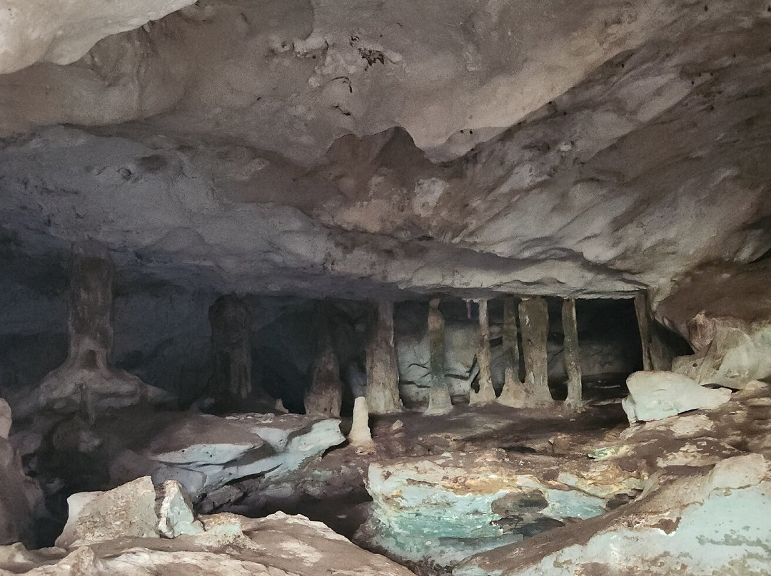 Conch Bar Caves-Conch Bar必去景点