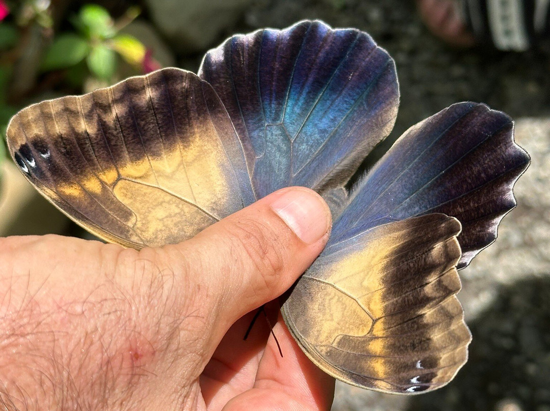 Arenal Oasis Wildlife Refuge-福德圣卡洛斯必去景点