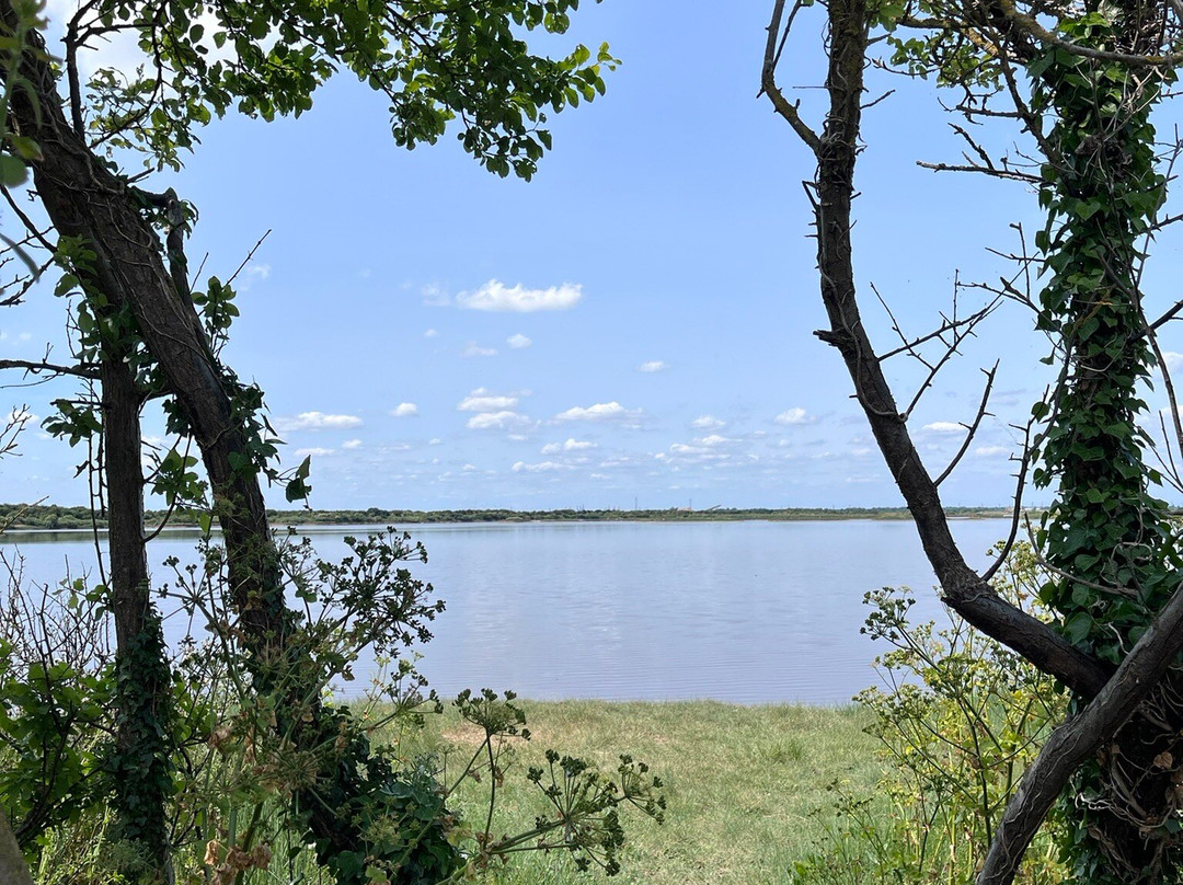 Cliffe Pools景点图片