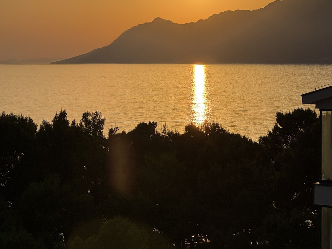 米兰尼奇公寓旅社主图