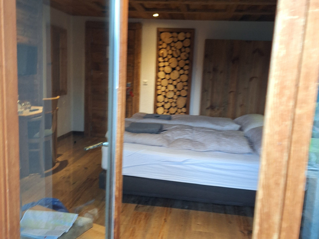 Hotel Le Grand Chalet主图