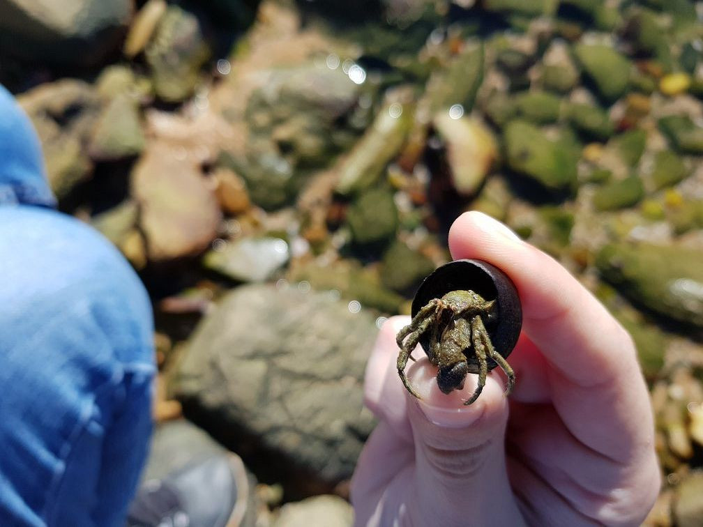 Ancient Fish Traps-斯特尔拜必去景点