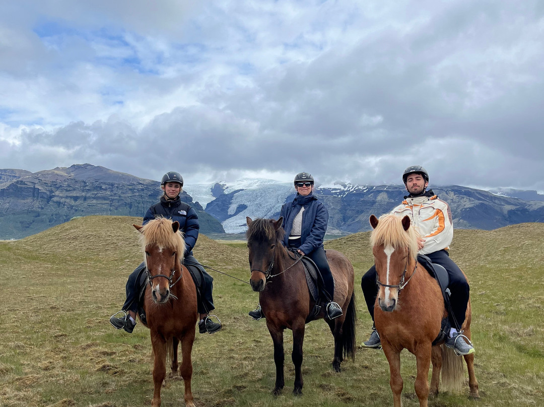 Glacier Horses-Svinafell必去景点