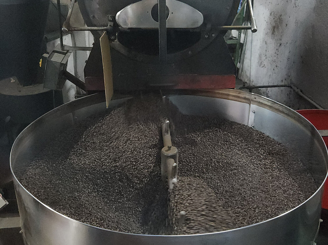 Plaza Principal de Comala-Comala必去景点