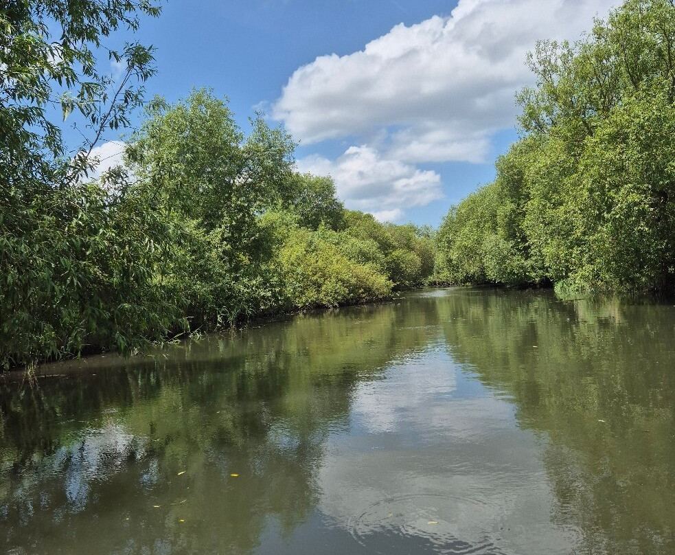 Grove Ferry River Trips-Upstreet必去景点