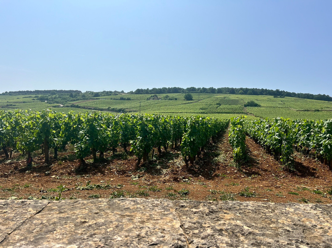 Chemins de Bourgogne景点图片
