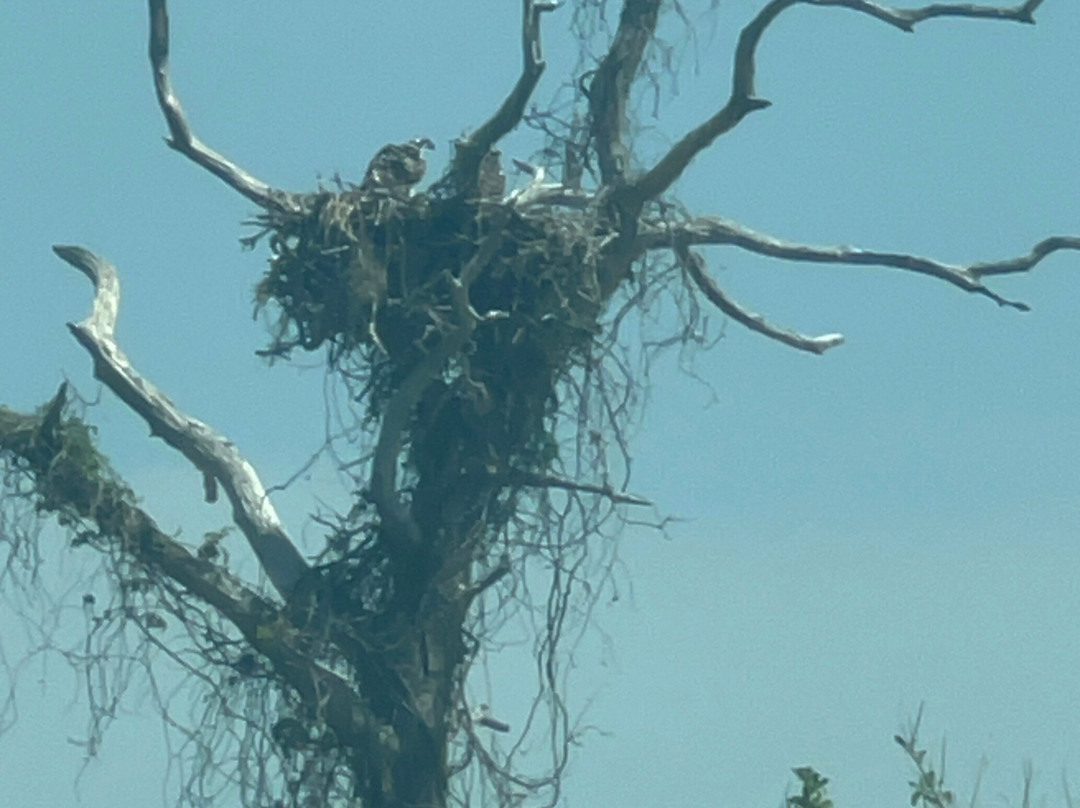 Neal Preserve-布雷登顿必去景点