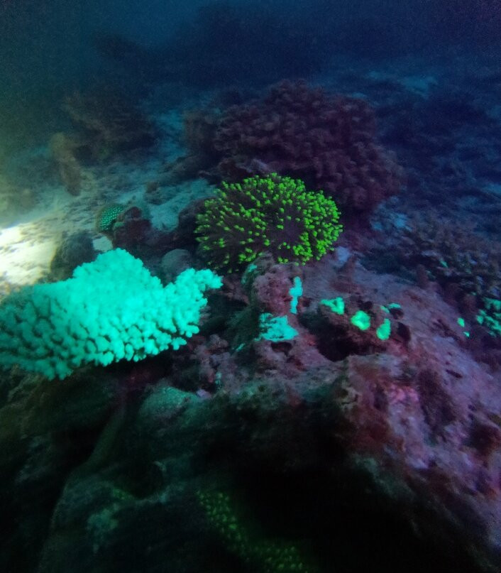 Fulidhoo Dive & Water Sports景点图片