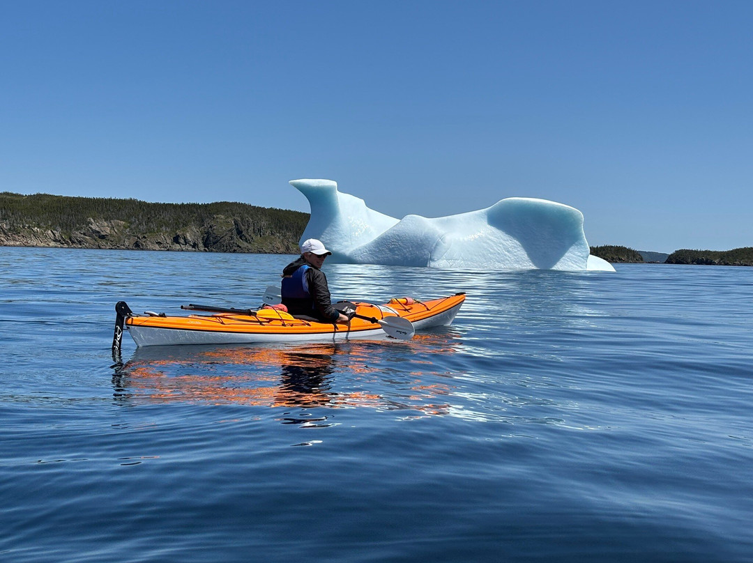 Adventures Newfoundland-Fortune Harbour必去景点
